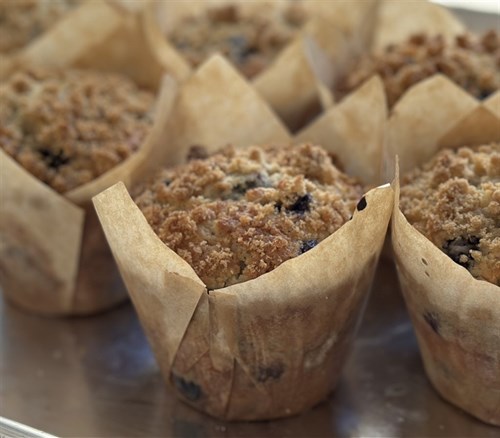 Muffins - Blueberry