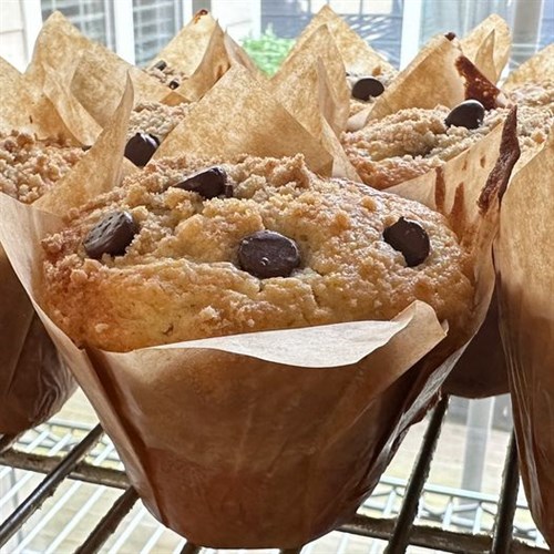 Muffins - Chocolate Chip