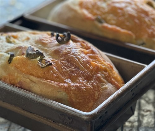 Sourdough - Jalapeno Cheddar