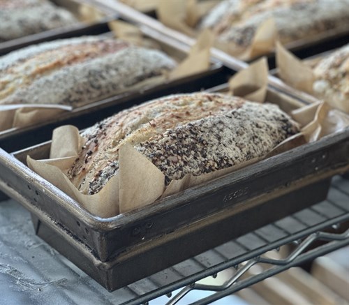 Sourdough - Everything Bagel